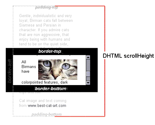 scrollHeight